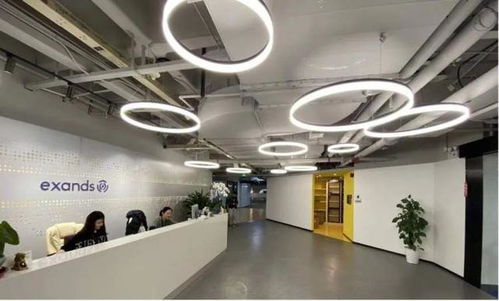 長寧三家企業榮登上海軟件外包服務立項名單，助力區域數字經濟發展