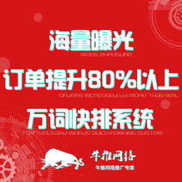 上海專業關鍵字優化軟件公司 軟件外包服務的全面解析